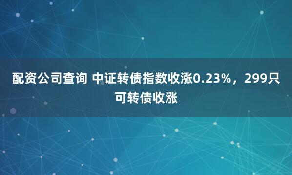 配资公司查询 中证转债指数收涨0.23%，299只可转债收涨